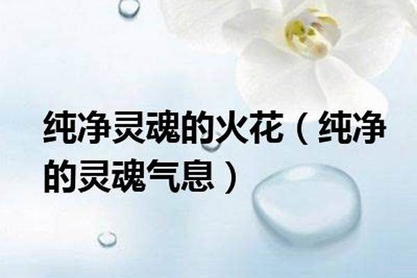 纯净的灵魂气息是什么