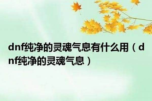 纯净的灵魂气息有什么用